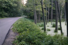 2011 - Gierłoż - Wilczy Szaniec