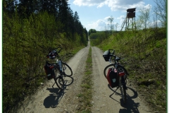 27-20.04.2015 Puszcza Borecka
