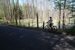 03.05.2012 - 3 maja