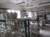 P1150351.JPG