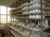 P1150356.JPG
