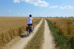 26.07.2014 Węgorzewo