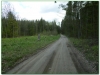 P1160004.jpg