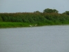 P1110571