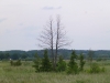 P1110646