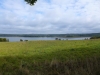 P1130502